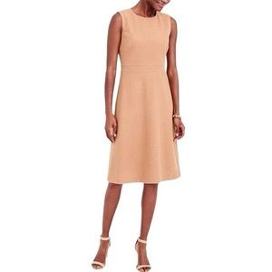 J.Crew wool a line dress